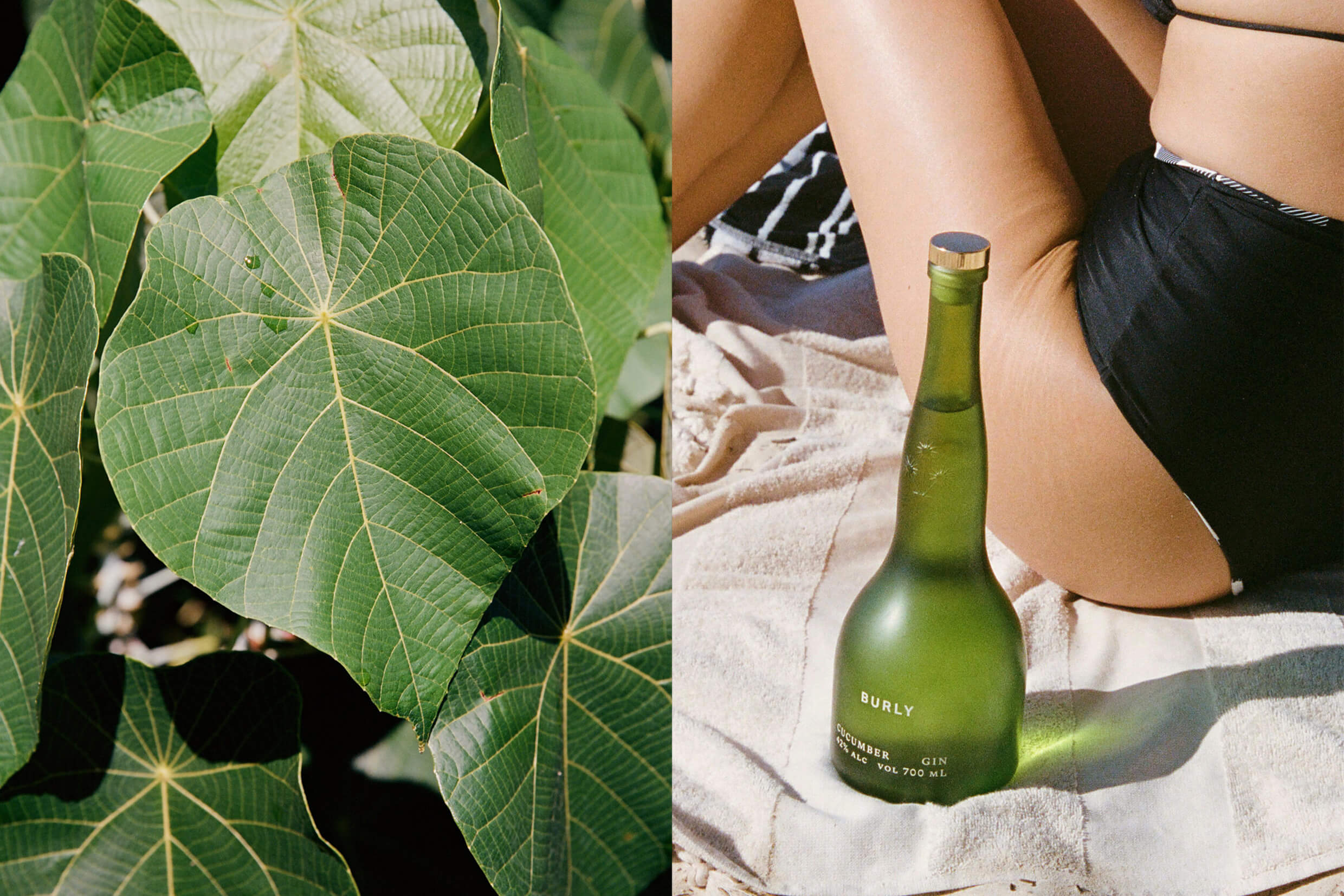 Burly Gin project image 7